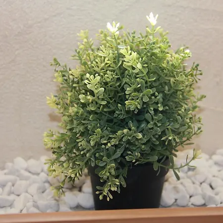 Nocleg ze śniadaniem Maison Le Cler 3*