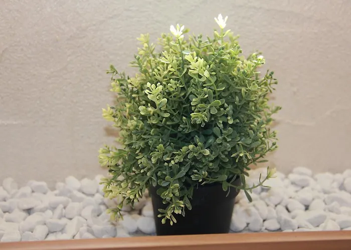 Bed & Breakfast Maison Le Cler 3*